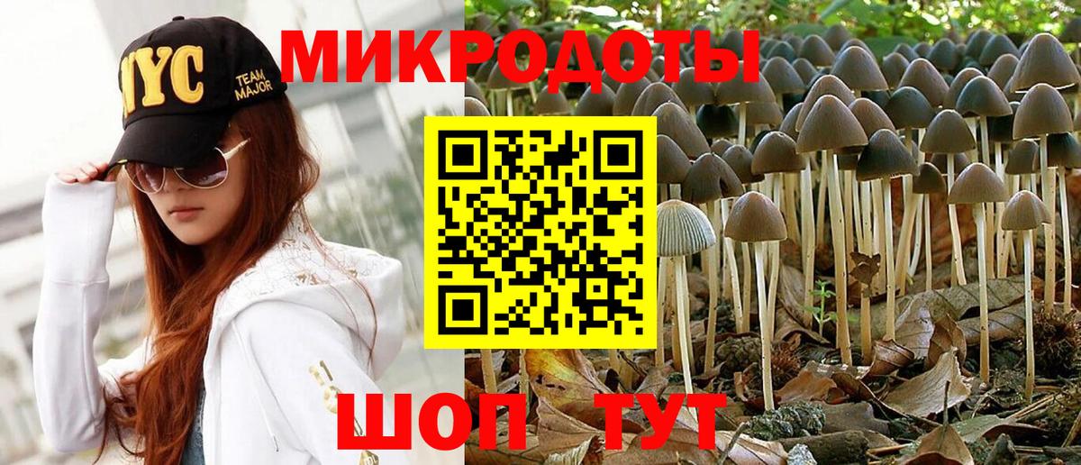 Галлюциногенные грибы мицелий Тула